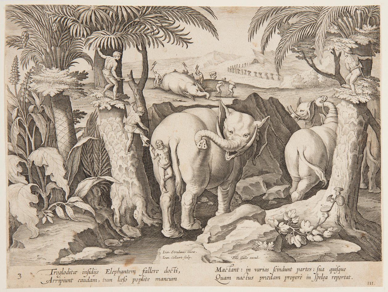 Hombres de las cavernas persiguiendo elefantes, placa 3 de la serie Venationes Ferarum, Avium, Piscium de Jan van der Straet, called Stradanus