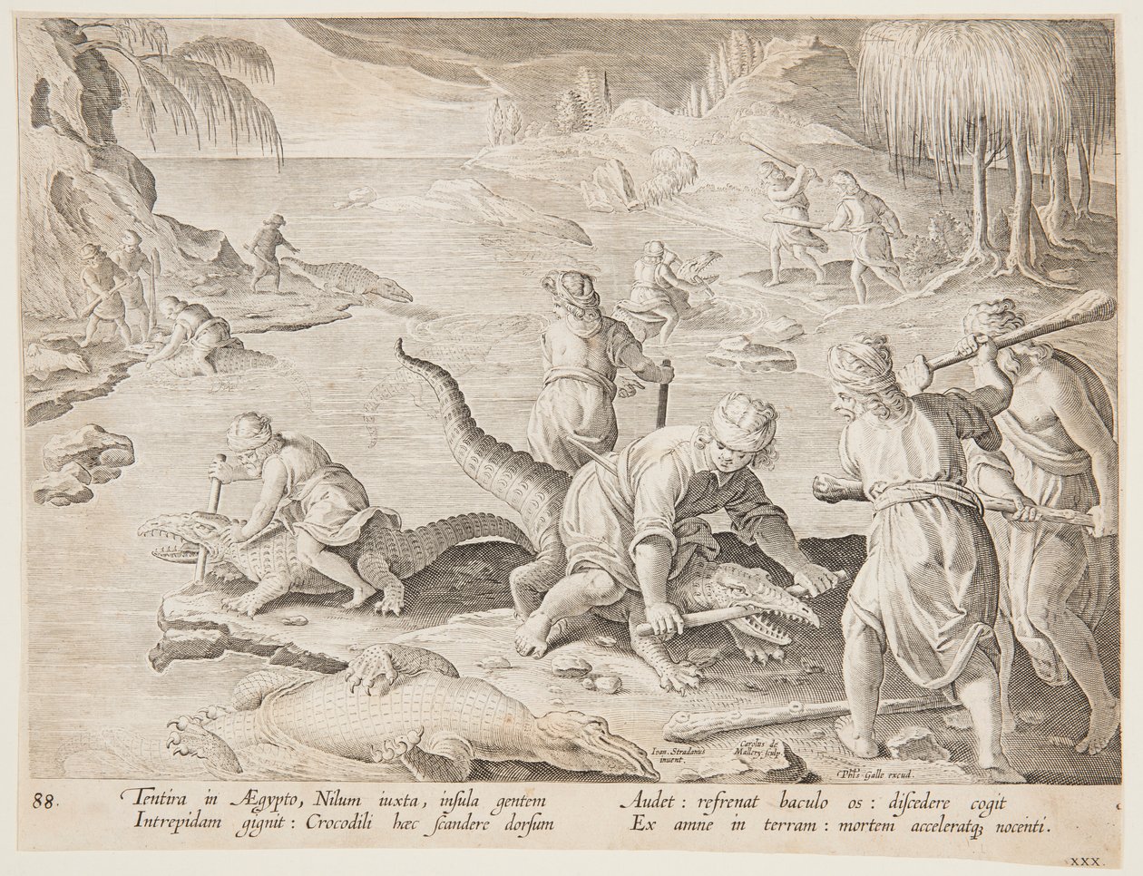 Caza de cocodrilos en Tentyra, en Egipto, lámina 30 de la serie Venationes Ferarum, Avium, Piscium de Jan van der Straet, called Stradanus