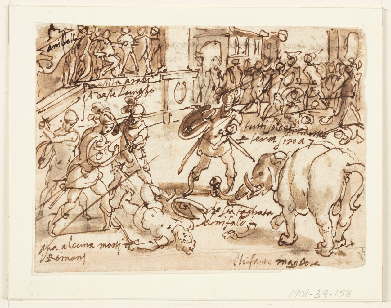 Recto: Un soldado romano luchando contra uno de los elefantes de Aníbal; Verso: inscripción relacionada con la Historia Natural de Plinio el Viejo, Libro 8, cap.7 de Jan van der Straet, called Stradanus