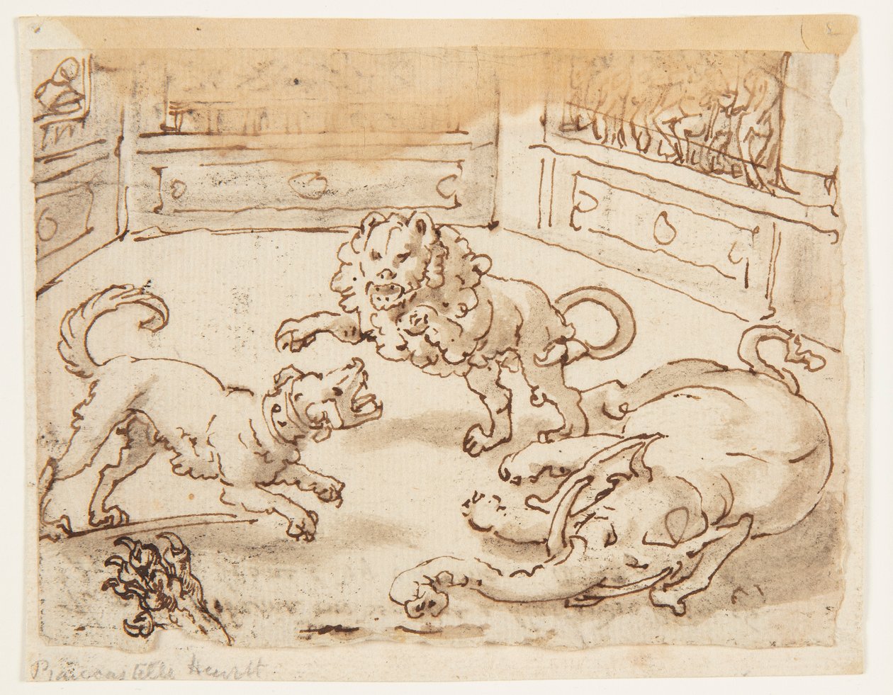 Recto: Alejandro Magno observando una pelea entre su perro, un elefante y un león; Verso: inscripción relacionada con la Historia Natural de Plinio el Viejo, Libro 8, cap. 61 de Jan van der Straet, called Stradanus