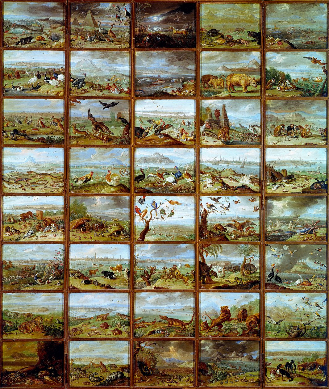 Animales. Tabla que muestra compartimentos correspondientes a diferentes especies animales. Pintura de Jan Van Kessel (1626-1679) siglo XVII Madrid, Museo del Prado de Jan van the Elder Kessel