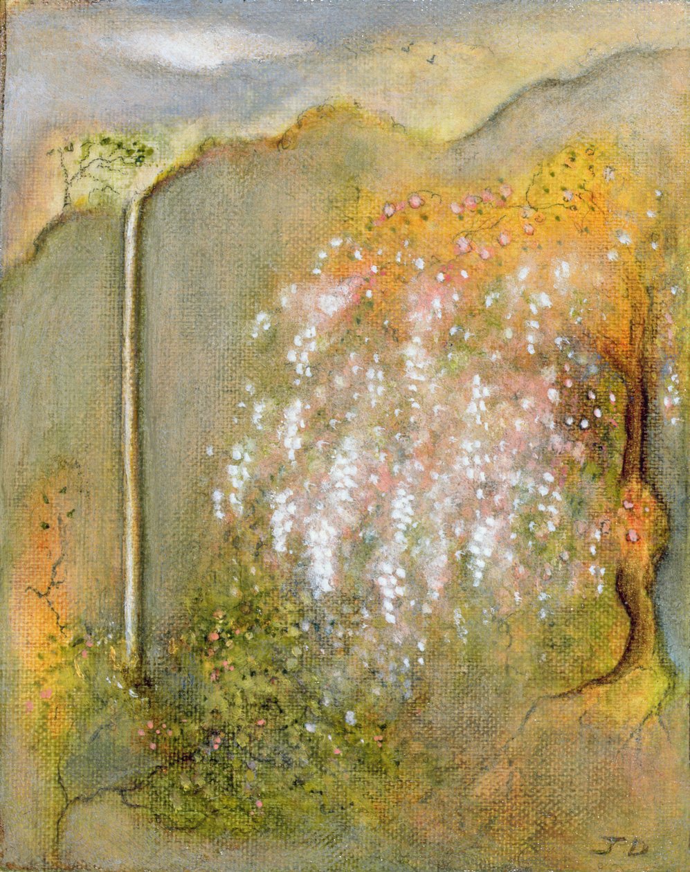 Glicinia blanca, 2001 de Jane Deakin