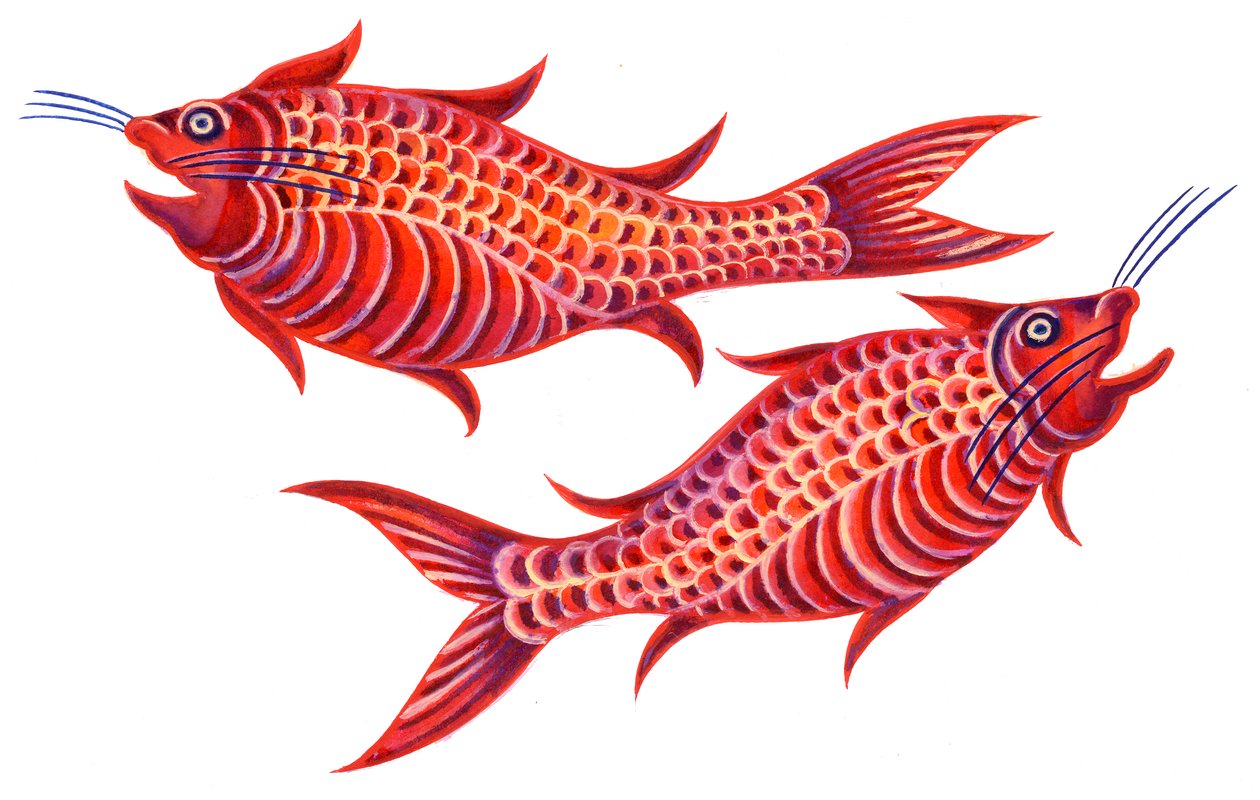 Piscis el Pez de Jane Tattersfield