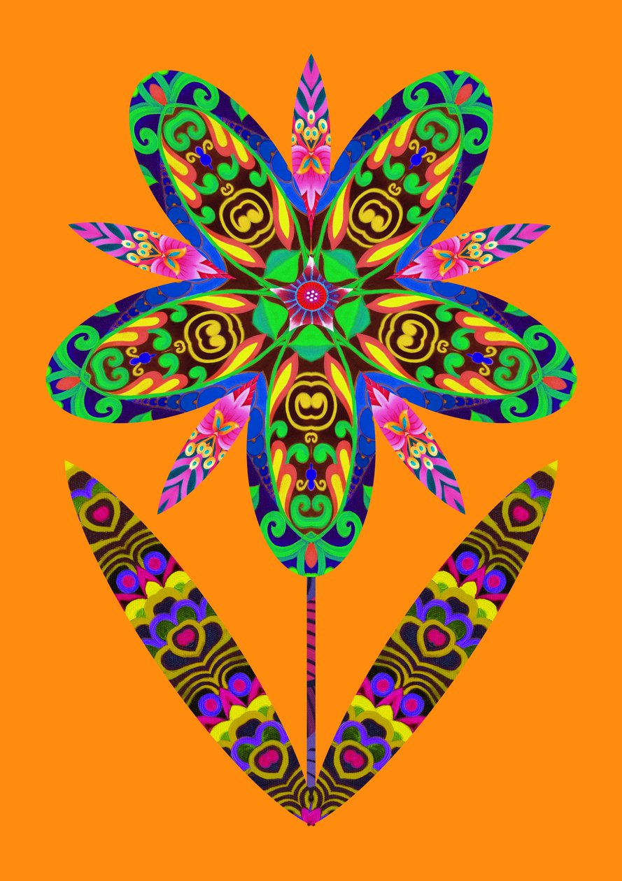 Recorte de flor en naranja de Jane Tattersfield