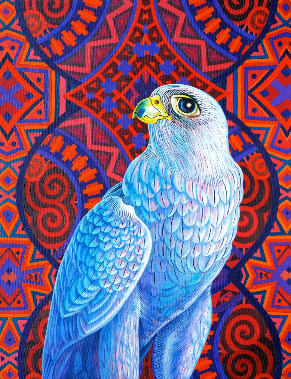 Halcón gris, 2017 de Jane Tattersfield