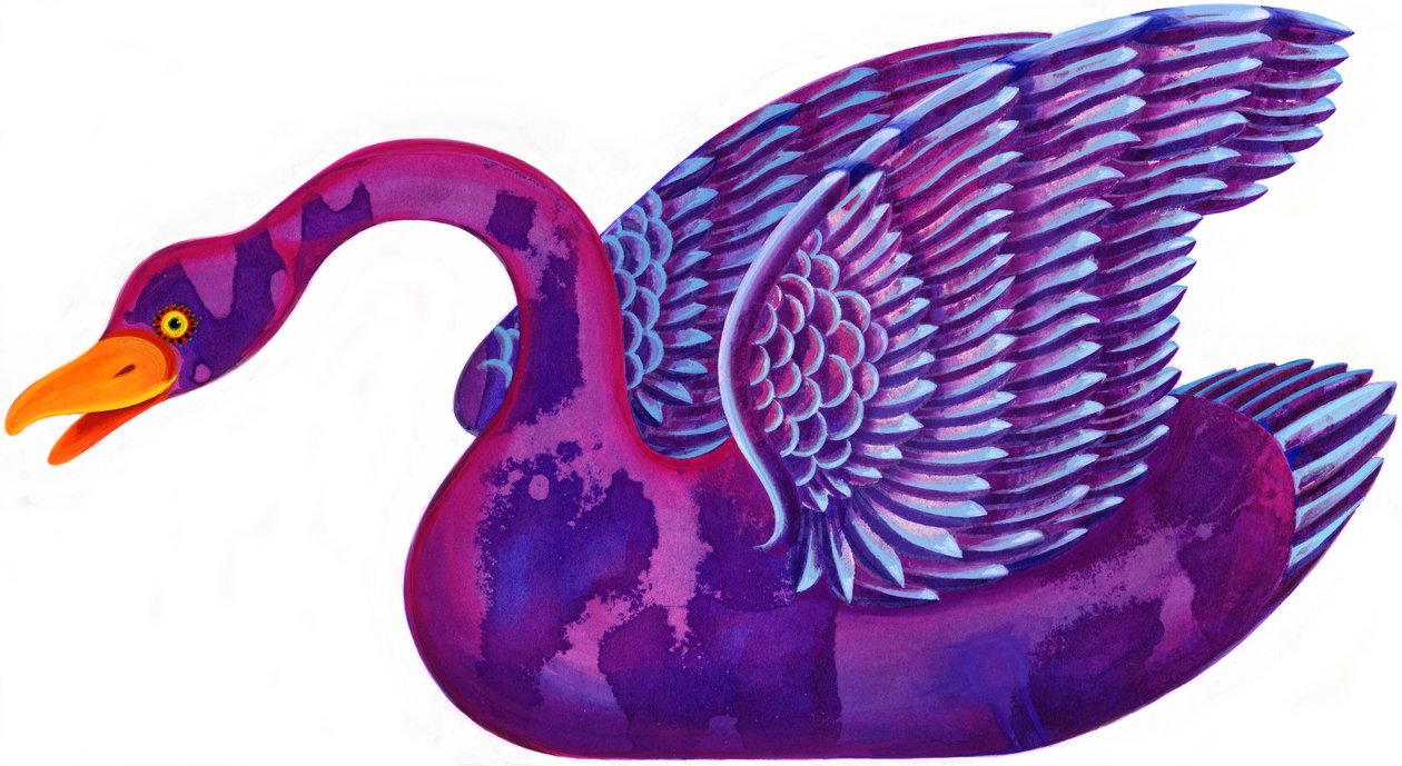 Cisne de Jane Tattersfield