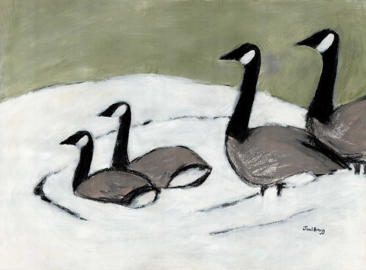 Canada Geese on David