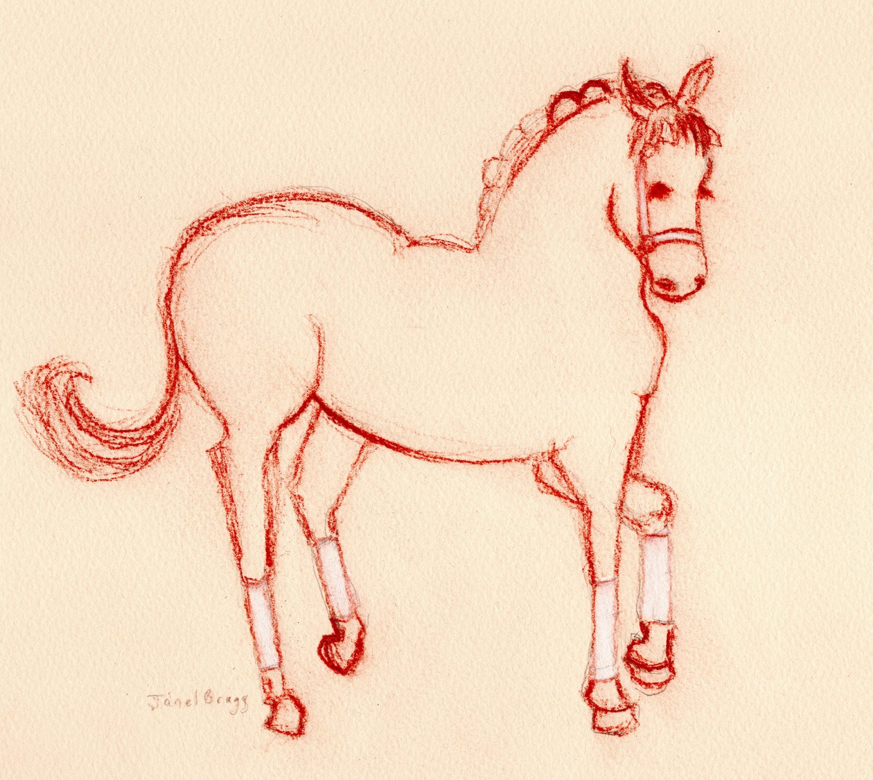 Horse Dancing at the Parade, c. 2024 (lápiz sobre papel) de Janel Bragg