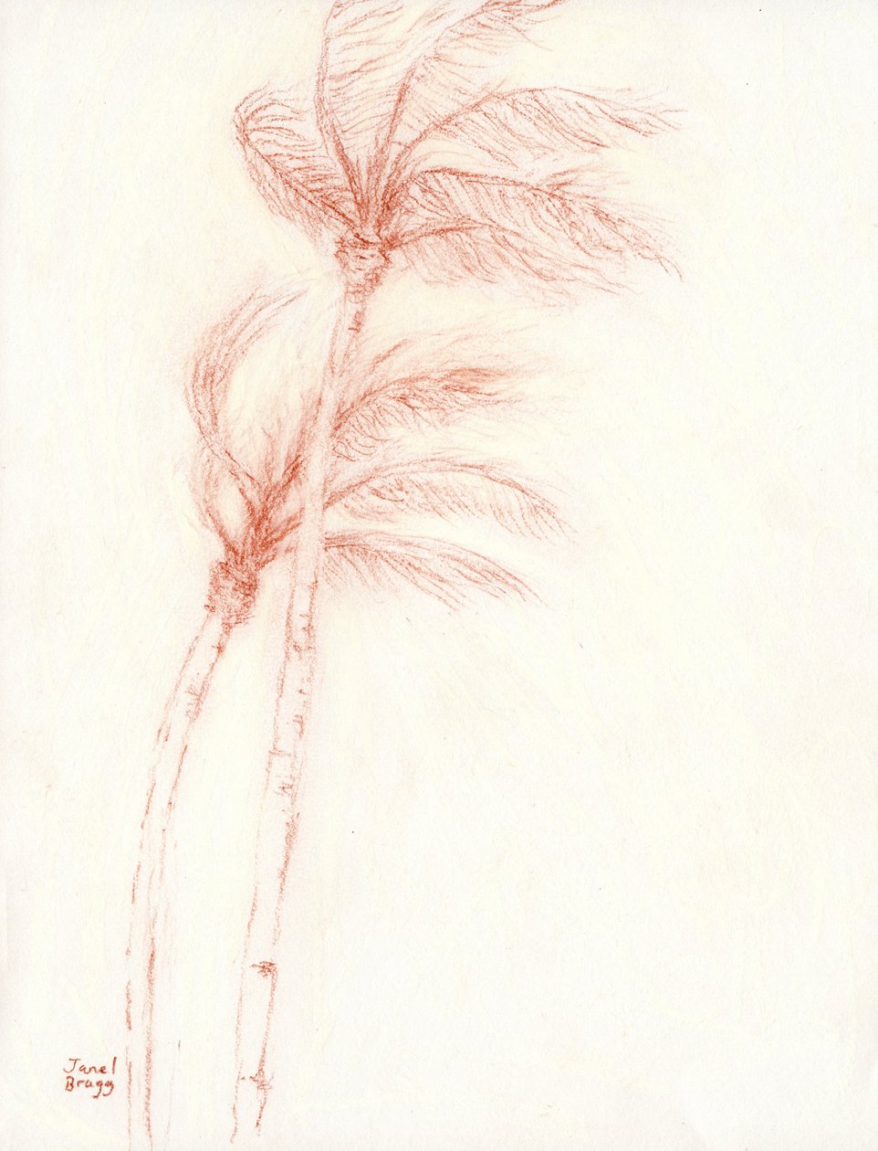Once Upon a Tropical Vacation Palm Trees, c.2019 (lápiz sobre papel) de Janel Bragg
