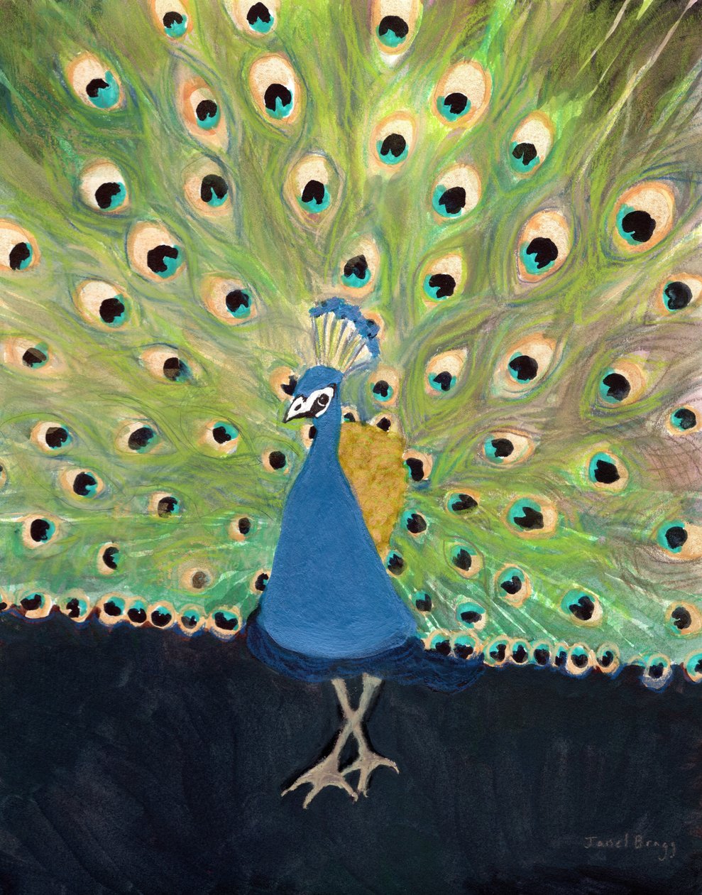 Peacock at Woodland Park Zoo, c. 2024 (técnica mixta sobre papel) de Janel Bragg