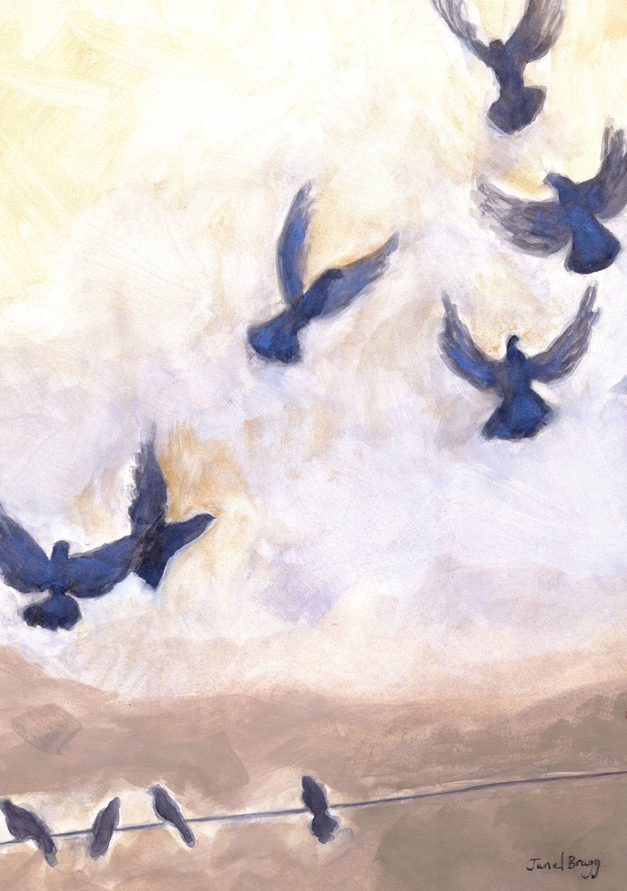 Palomas en vuelo en Anacortes, 2024 (acuarela y caseína sobre papel) de Janel Bragg