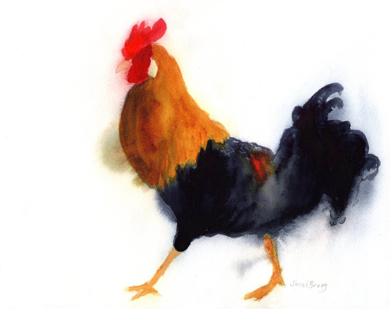 Gallo en Kauai en Lydgate Park, c. 2019 (acuarela sobre papel) de Janel Bragg