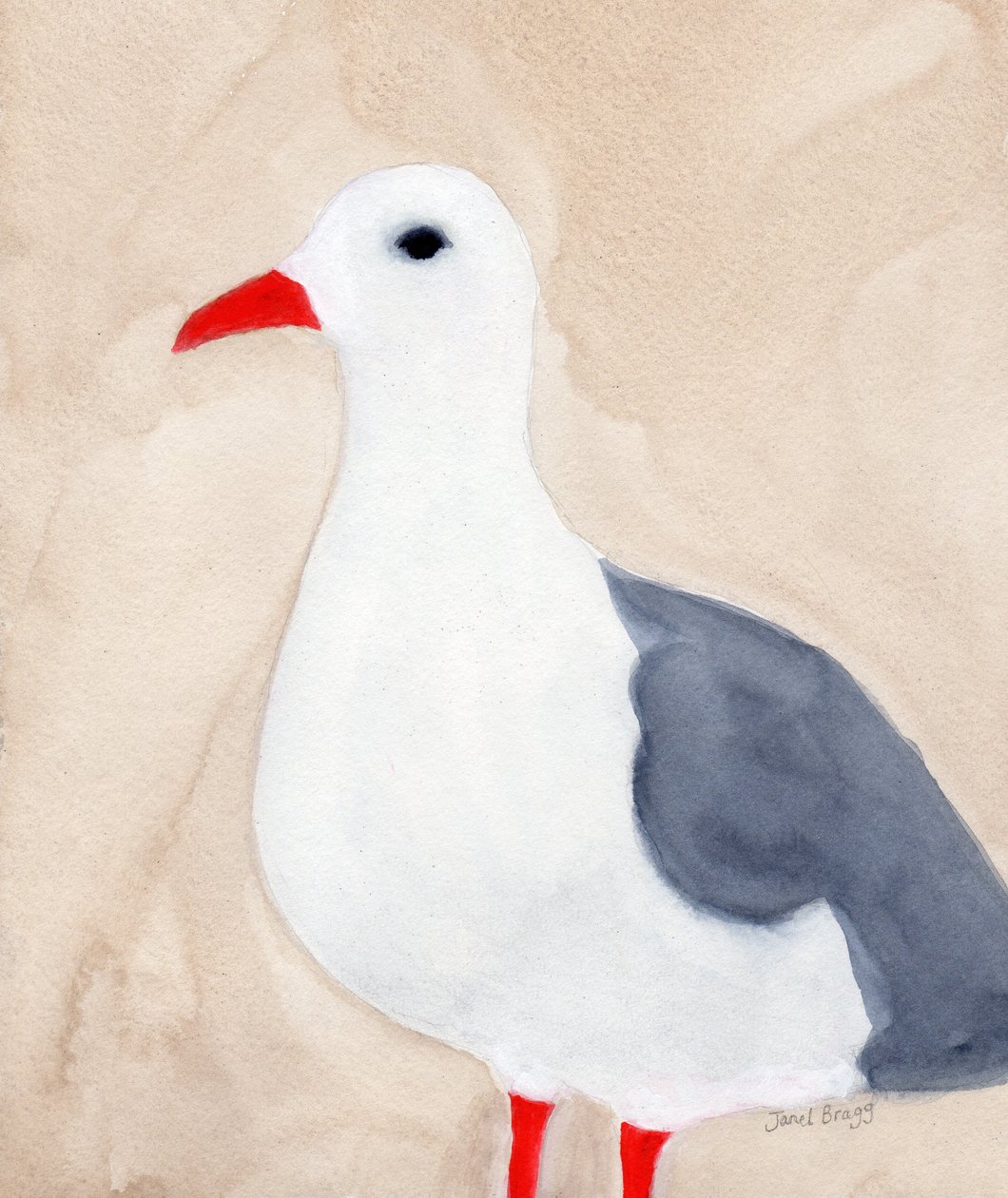 Gaviota de Anacortes II, c.2018 (acuarela y lápiz sobre papel) de Janel Bragg
