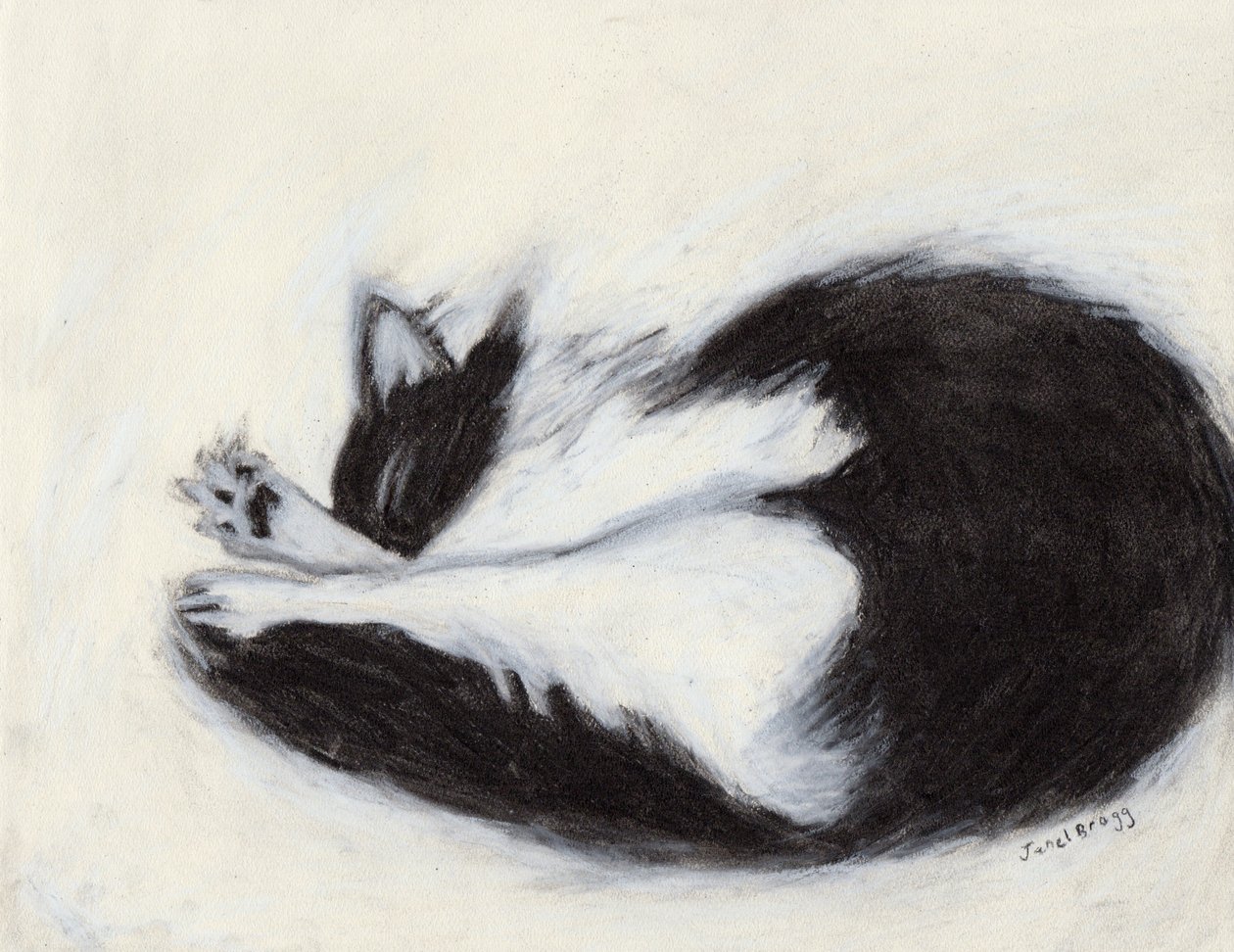 Thomas Taking a Nap, c.2018 (carboncillo y pastel sobre papel) de Janel Bragg