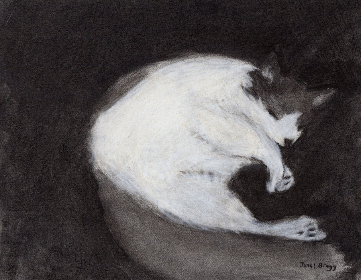 Thomas Taking a Nap, c. 2018 (carboncillo y pastel sobre papel) de Janel Bragg