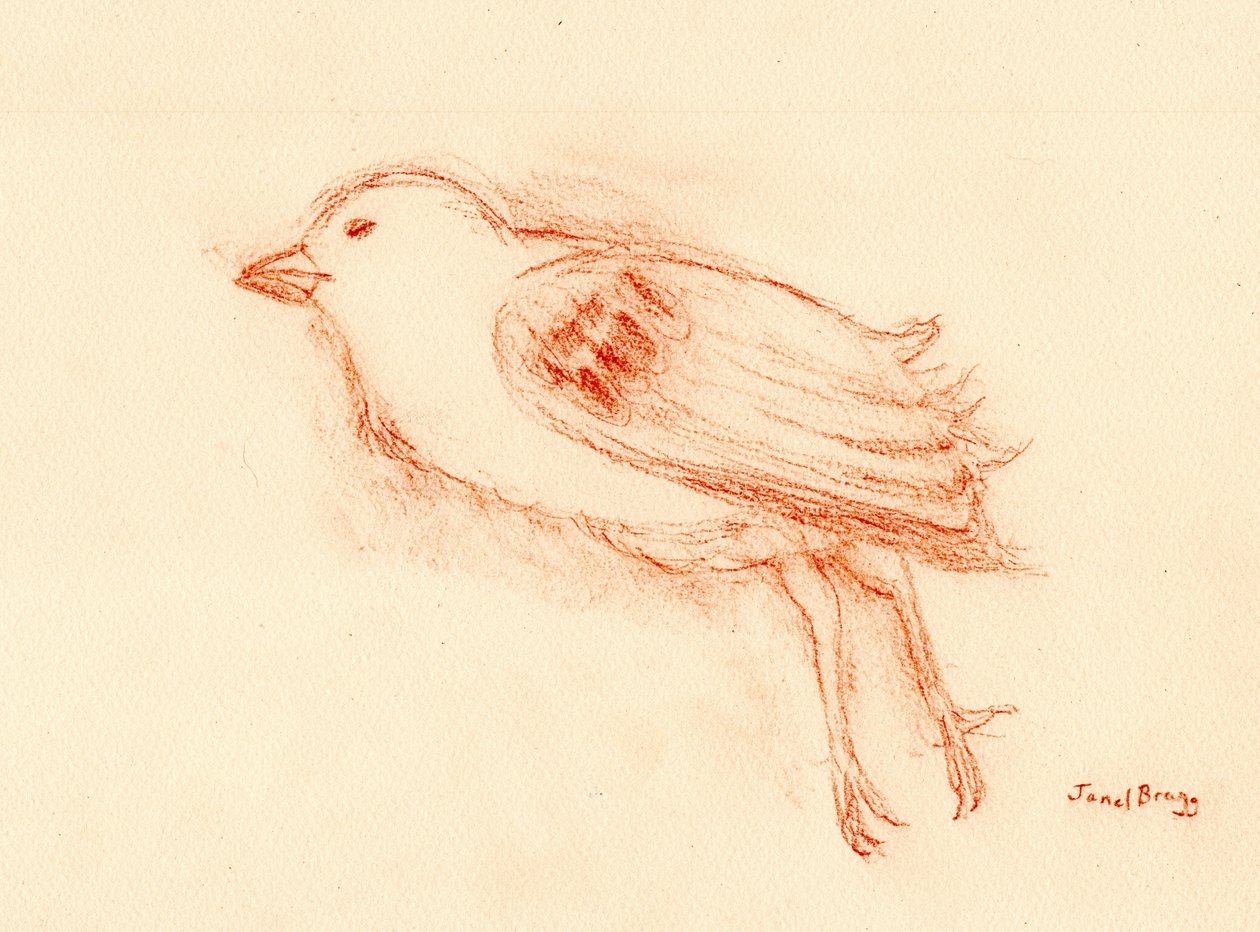 Vulerabilidad y muerte en verano (Pájaro muerto junto a mi escalera III) c.2021 (pastel sobre papel) de Janel Bragg