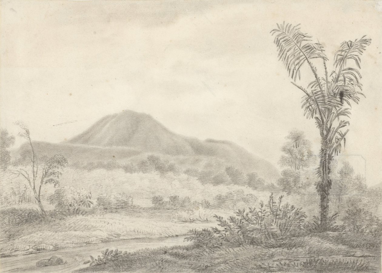 Paisaje javanés con montaña y palmeras de Jannes Theodorus Bik