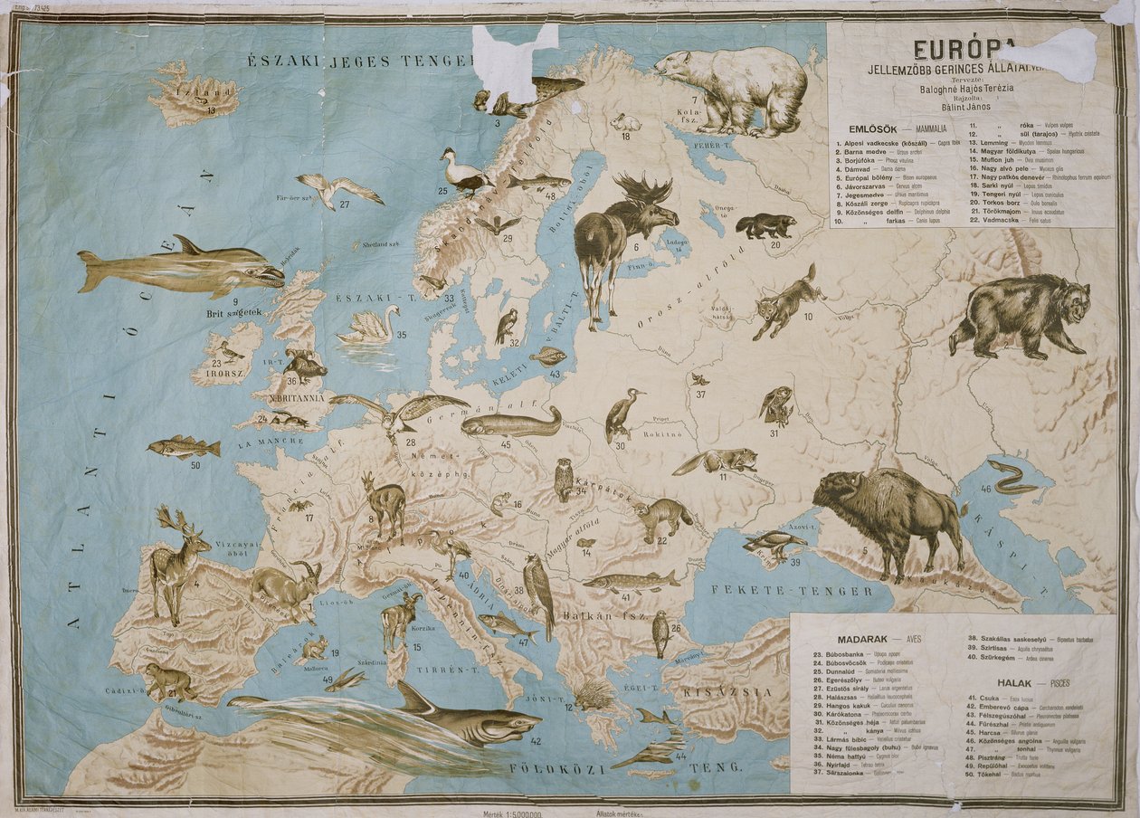 Mapa de animales en Europa de Janos Balint