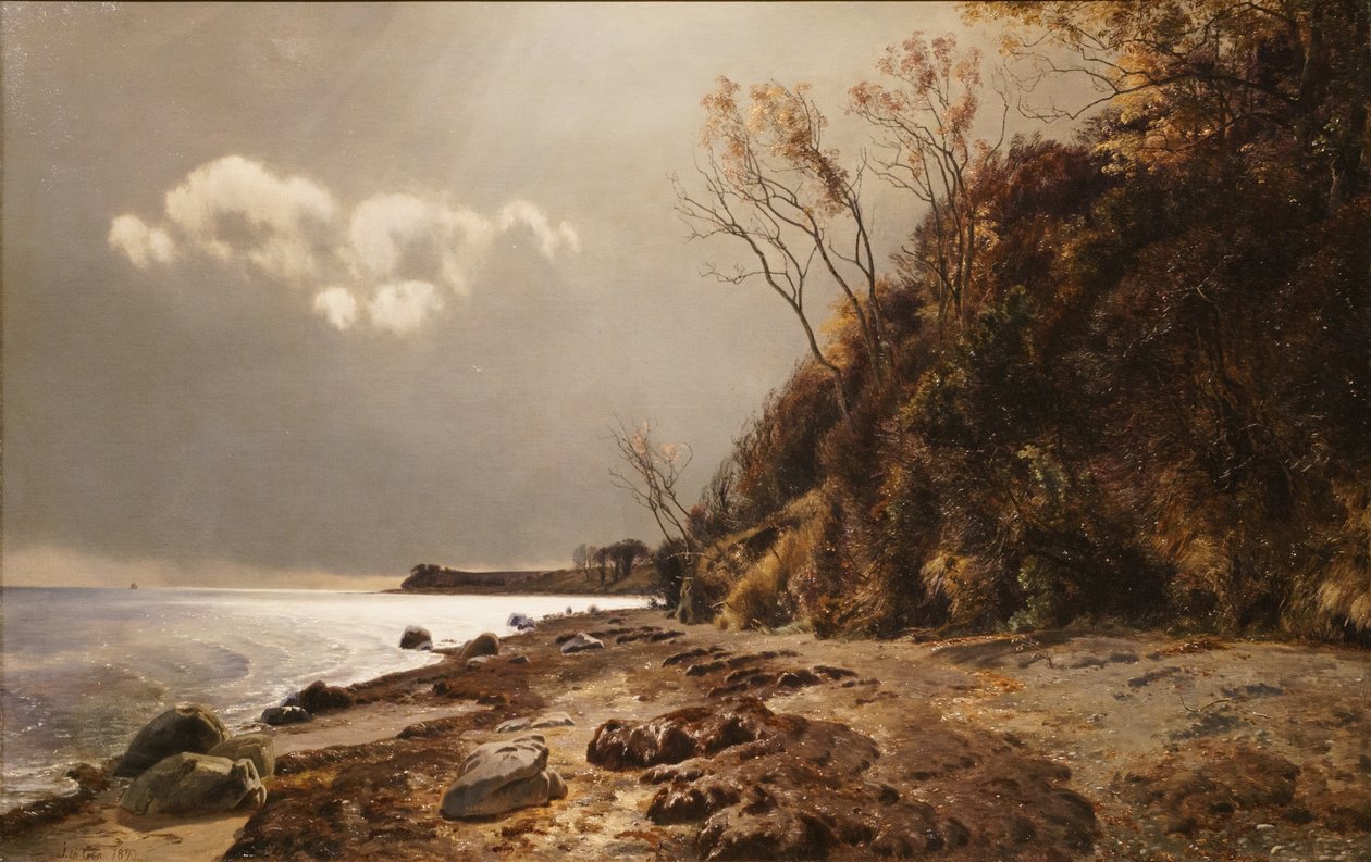 Playa de Moesgård de Janus La Cour