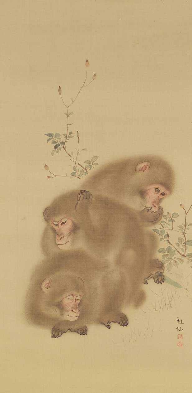 Familia de babuinos de Japanese School