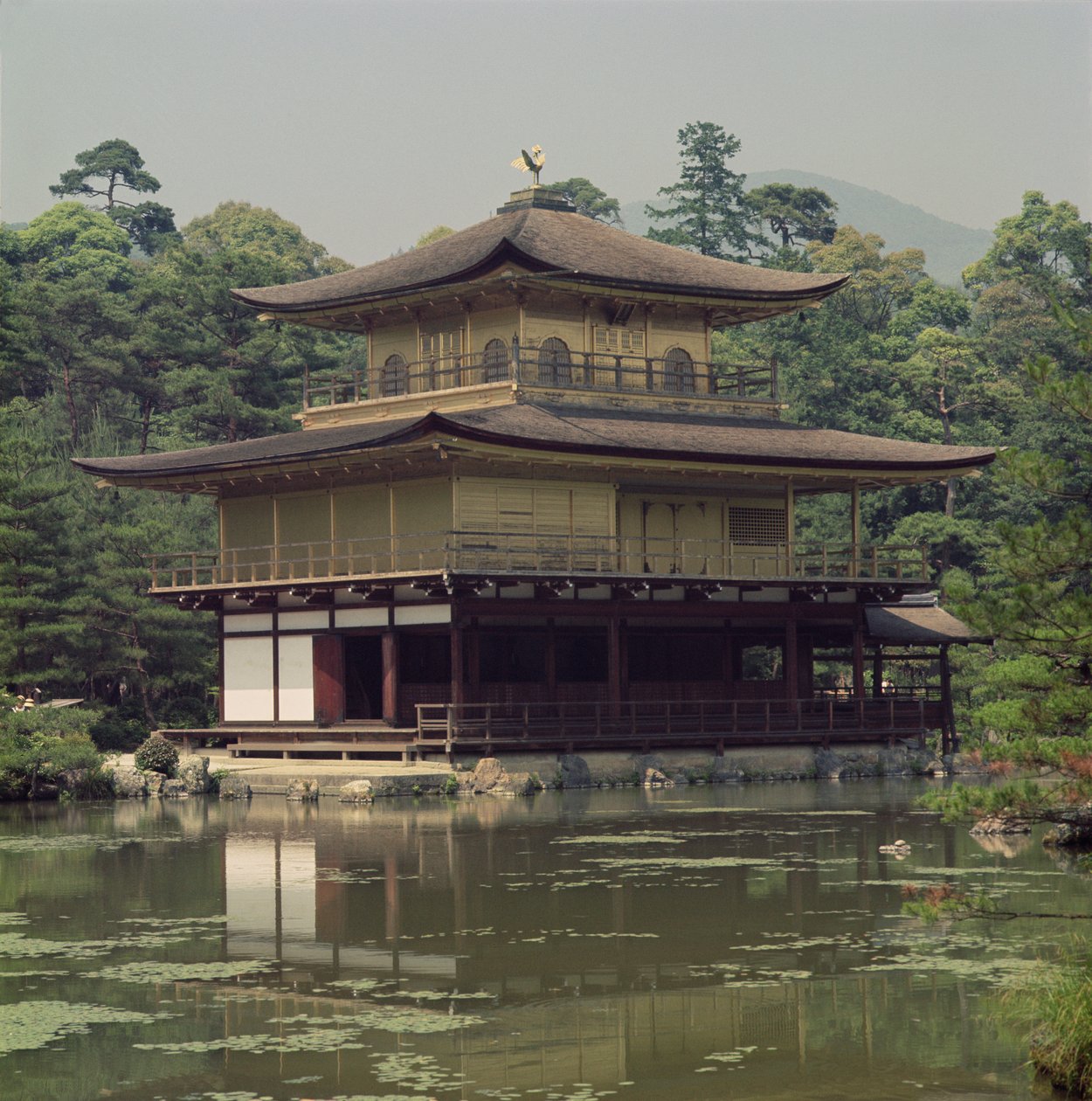 Templo Kinkaku (Pabellón Dorado) dedicado a la memoria del shogun Ashikaga Yoshimitsu (1358-1408) de Japanese School