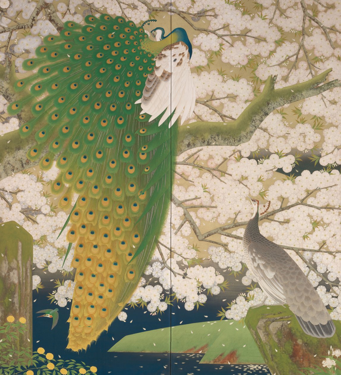 Pavos reales y cerezo de Japanese School