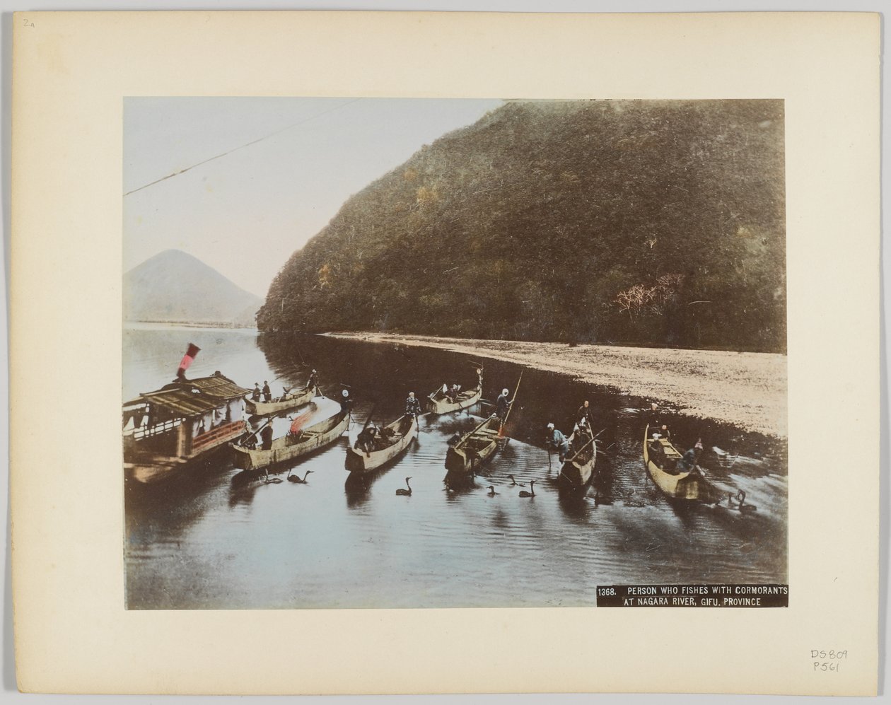 Pesca con cormoranes en el río Nagara, Prefectura de Gifu, Japón de Japanese Photographer