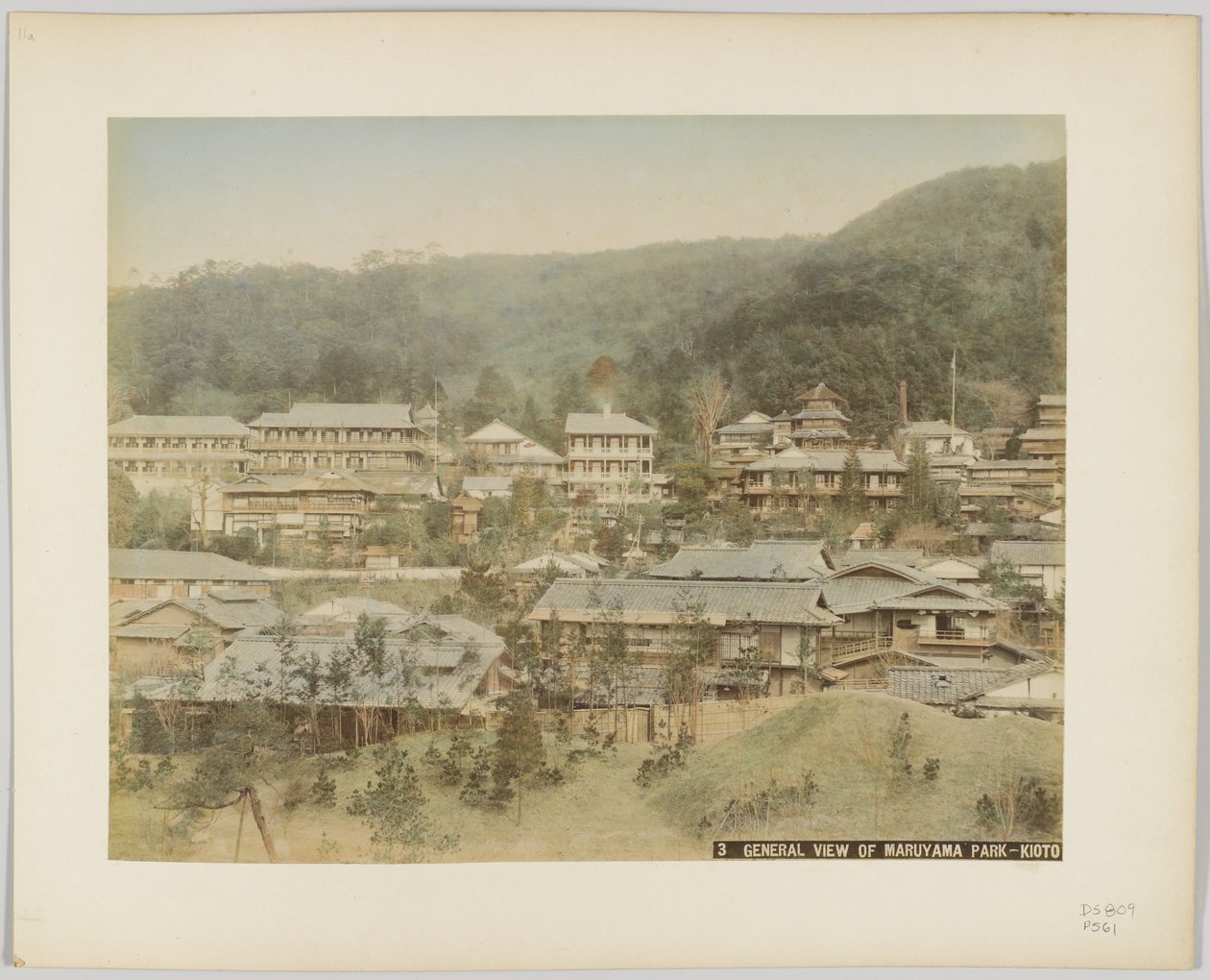 Vista general del Parque Maruyama, Kioto, Japón de Japanese Photographer