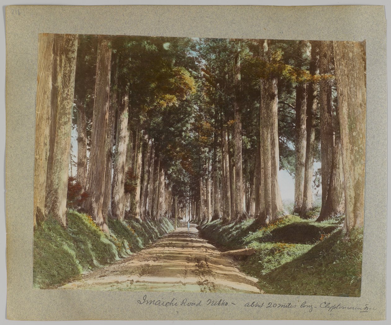 Camino Imaichi, Nikko, Japón de Japanese Photographer