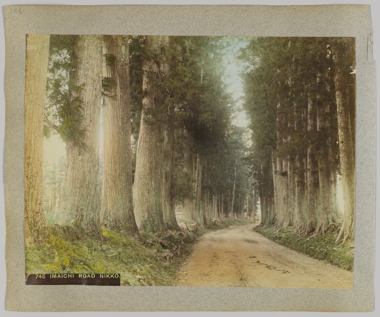 Camino Imaichi, Nikko, Japón de Japanese Photographer