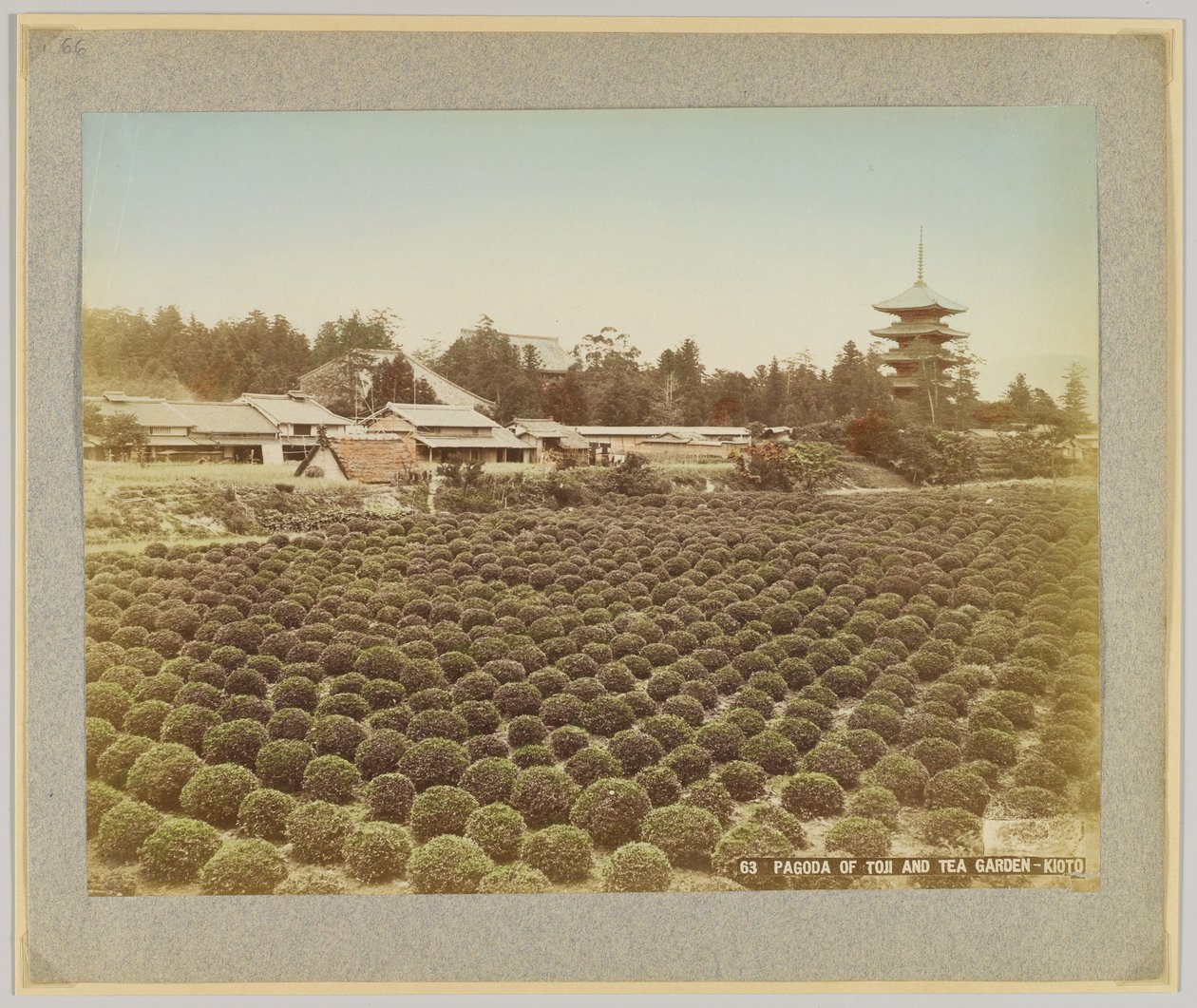 Pagoda de Toji y jardín de té, Kioto, Japón de Japanese Photographer