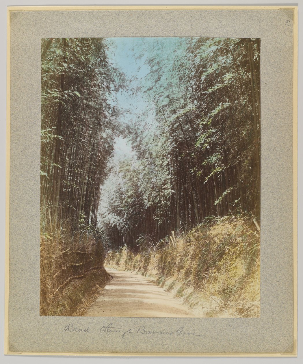 Camino a través de un bosque de bambú, Japón de Japanese Photographer
