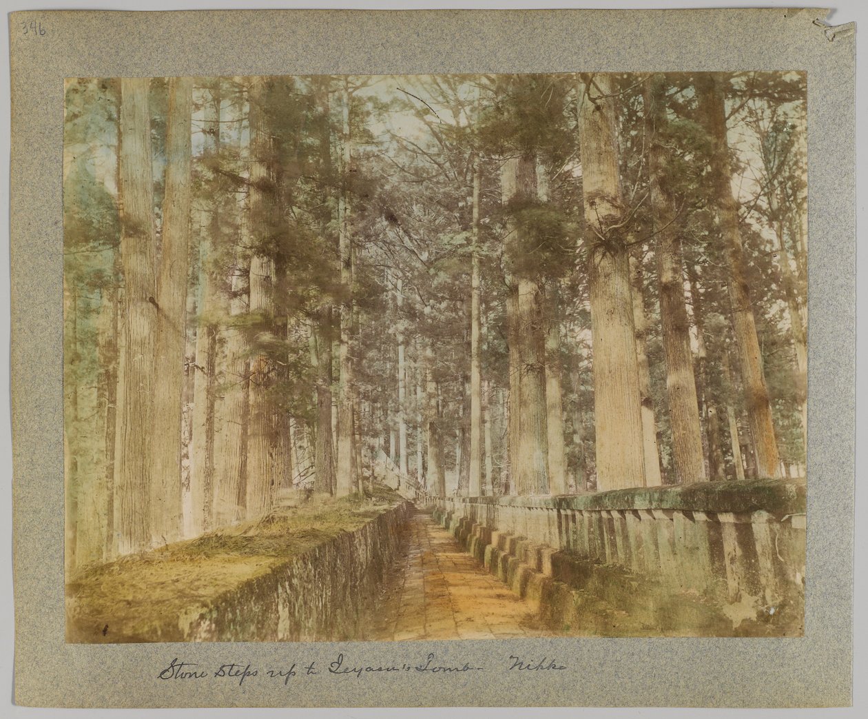 Escaleras de piedra hacia la tumba de Ieyasu, Nikko, Japón de Japanese Photographer