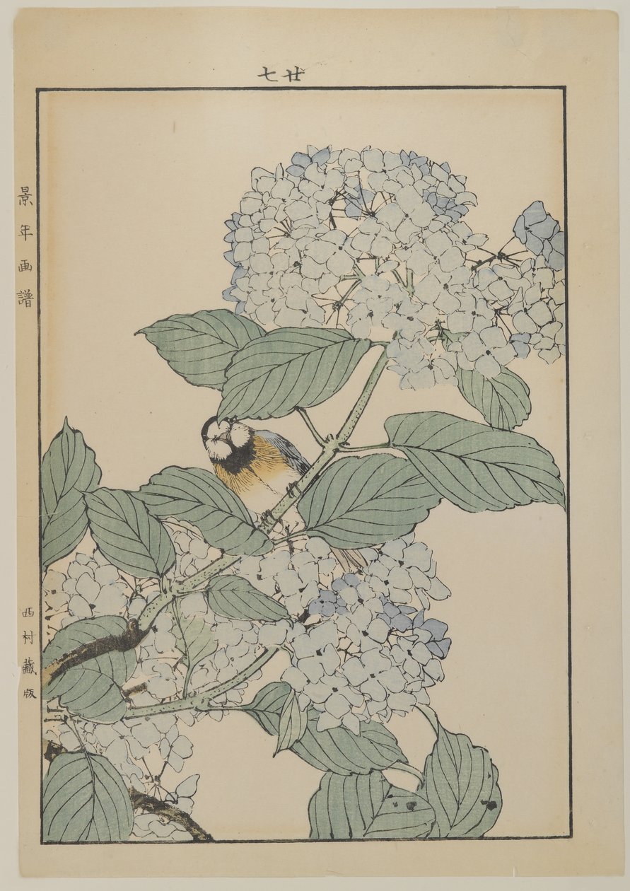 Pájaro con hortensia, período Meiji, c.1868-1912 de Japanese School
