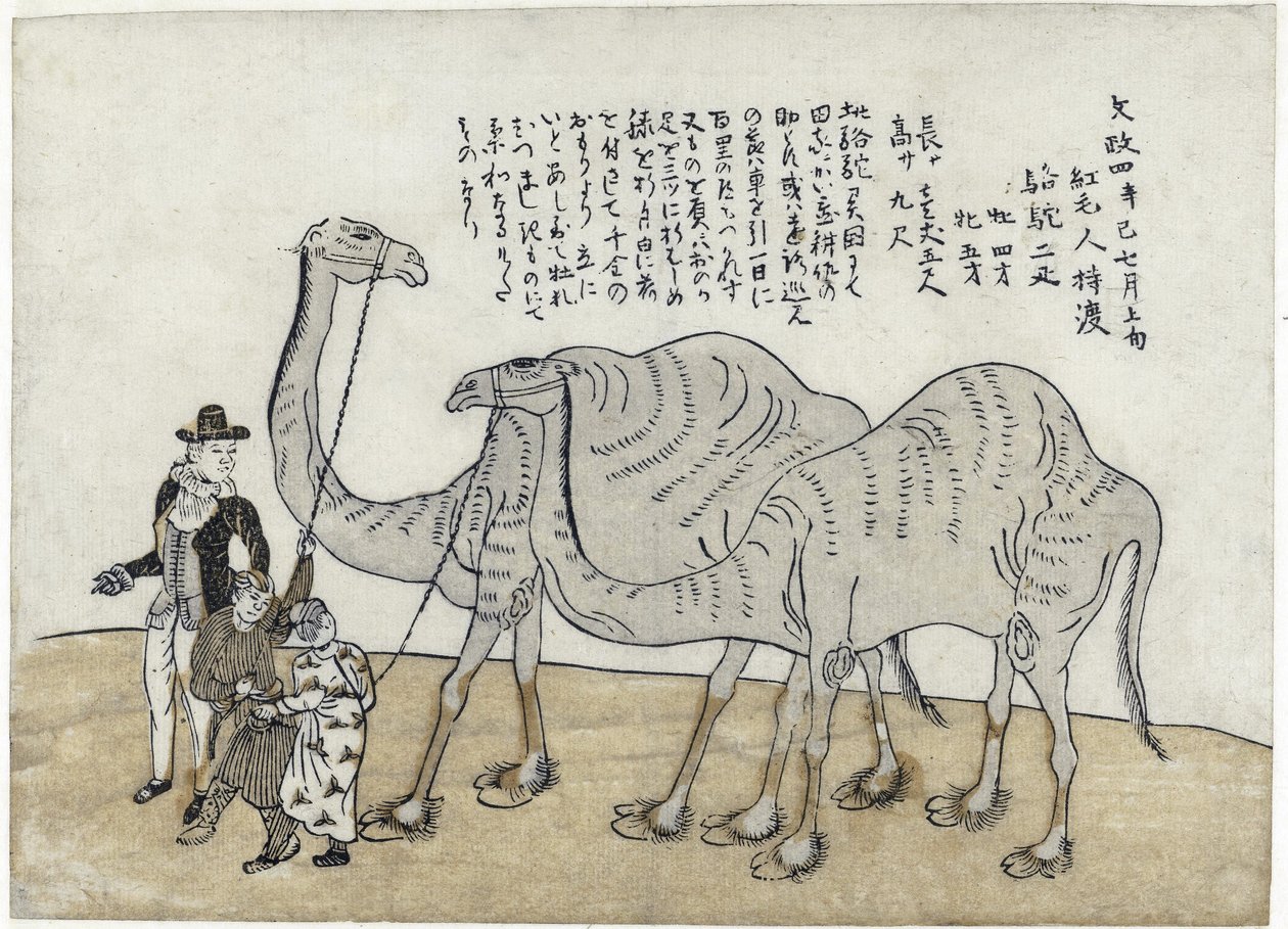 Camello con manejadores, pub. 1821 (xilografía coloreada) de Japanese School