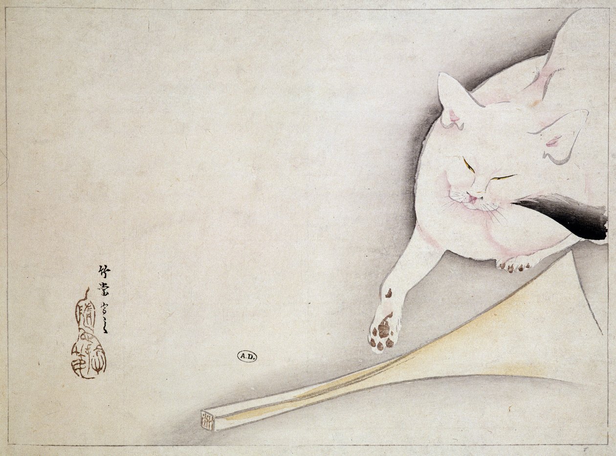 Gato, dibujo japonés, s.f. siglo XIX de Japanese School