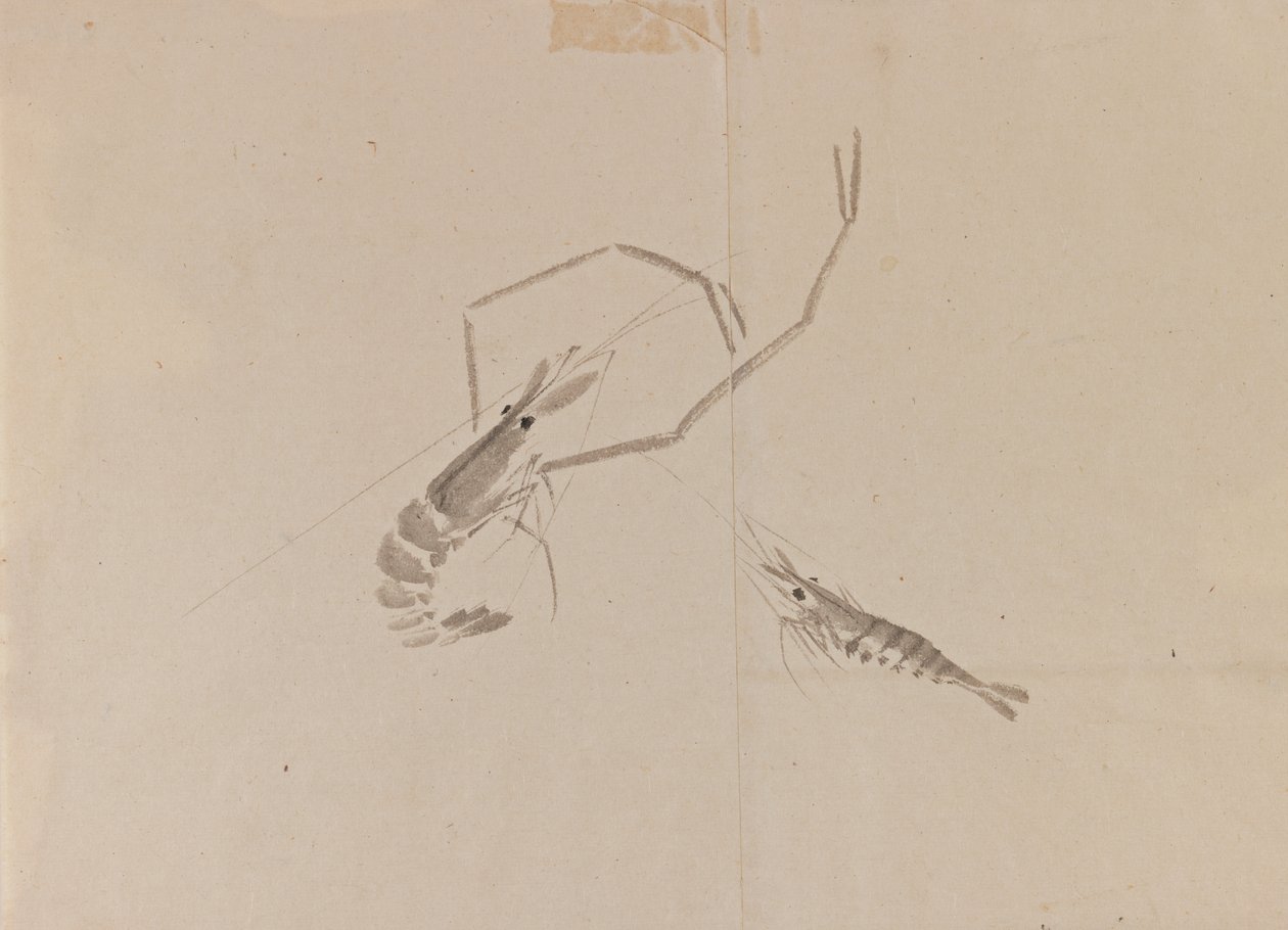 Dibujo de dos cangrejos de río de Japanese School