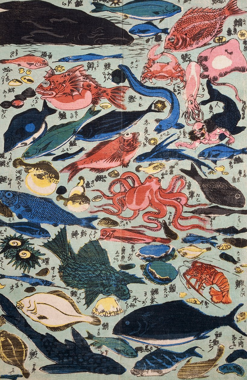 Pescado fresco, moluscos y crustáceos de Japanese School