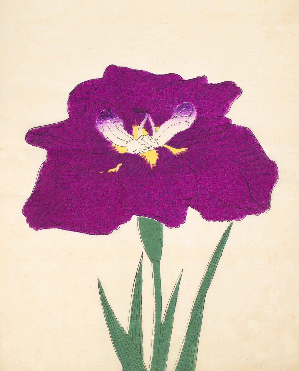 Hizume-no.-Hyoshi, no.29, 1898 de Japanese School