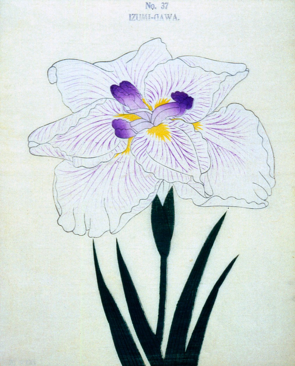 Izumi-Gawa, no.37, 1898 de Japanese School