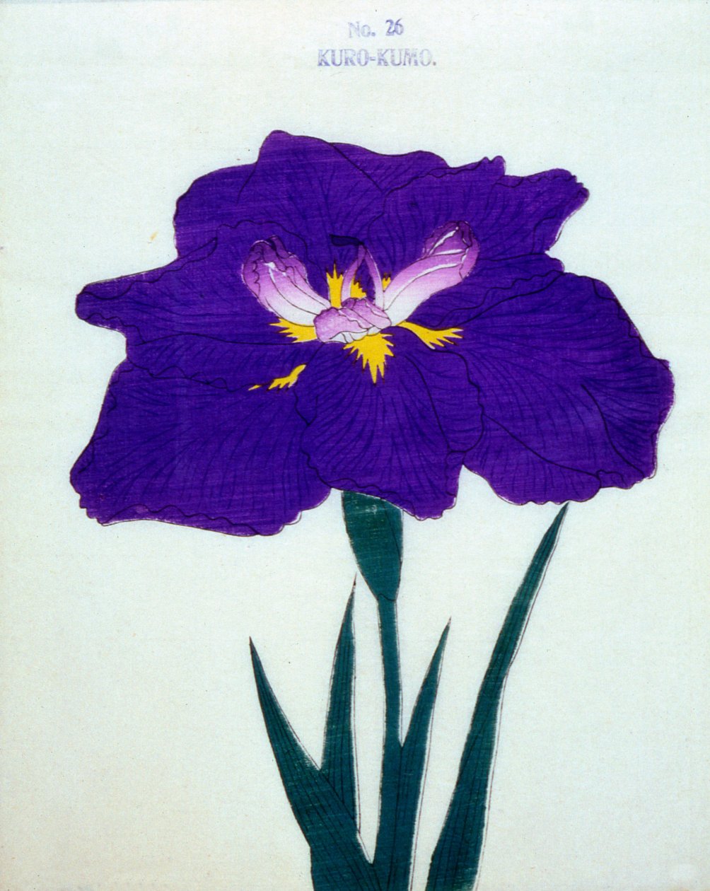 Kuro-Kumo, no.26, 1898 de Japanese School