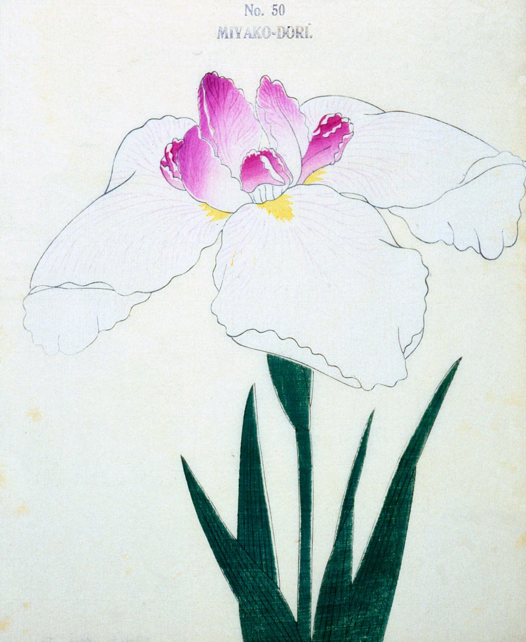 Miyako-Dore, no.50, 1898 de Japanese School