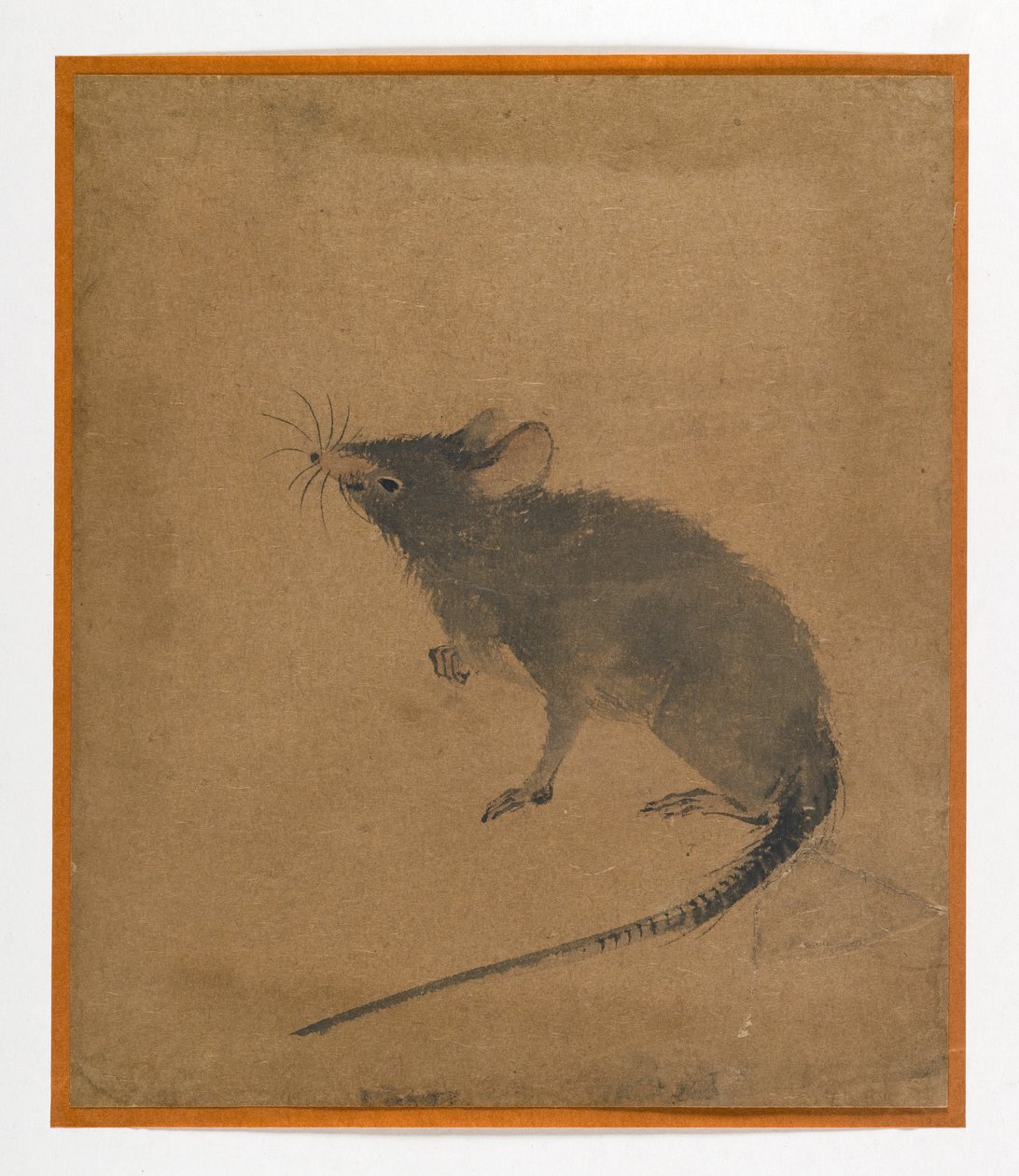 Ratón de Japanese School