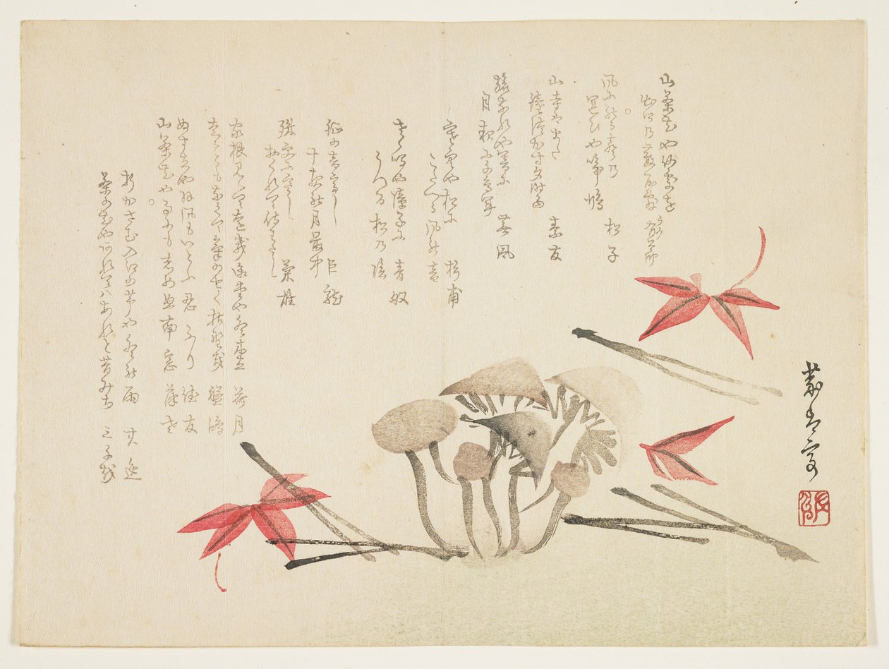 Hongos, hojas de arce y agujas de pino de Japanese School
