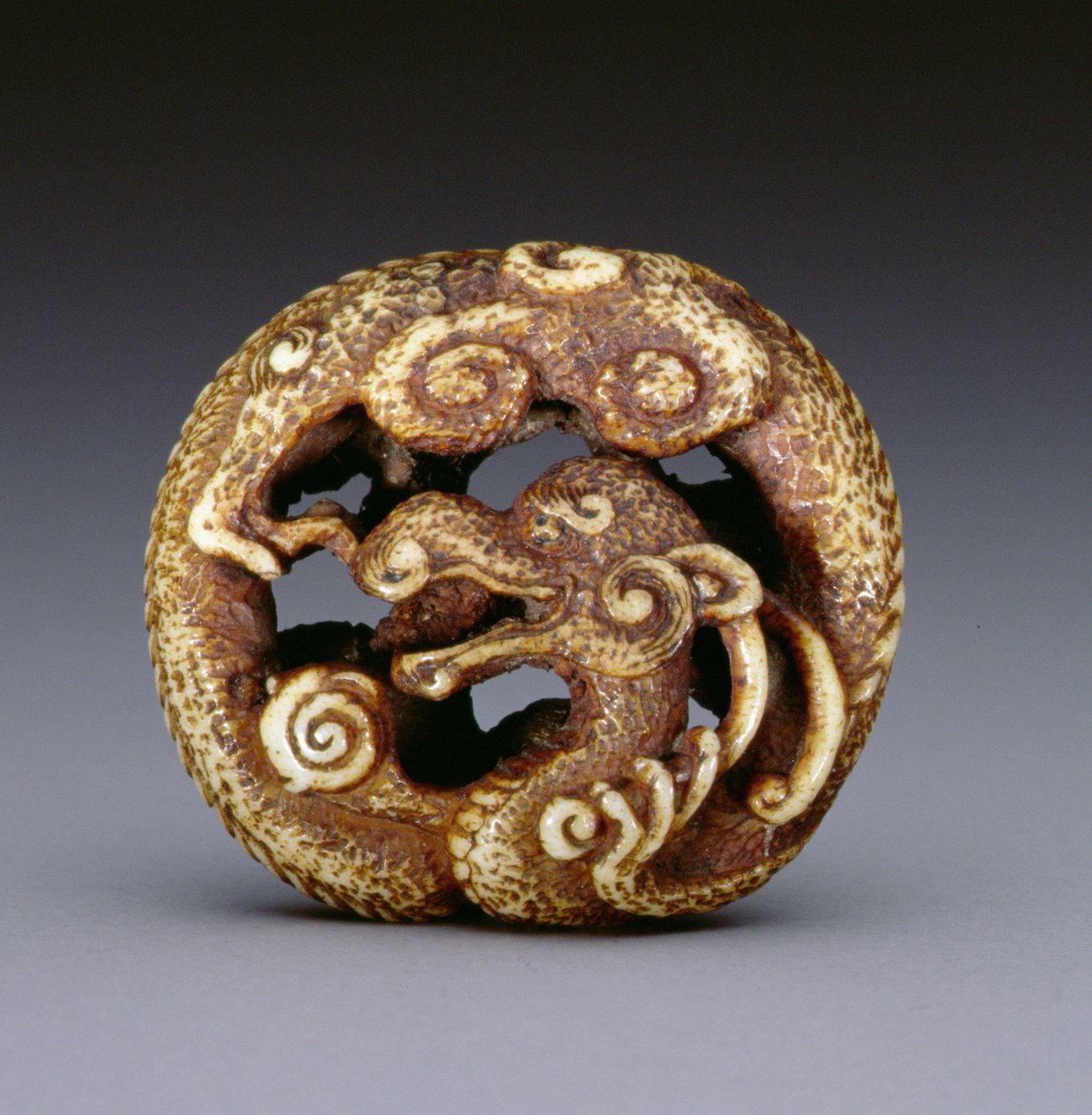 Netsuke que representa un dragón de agua, c.1870-80 de Japanese School