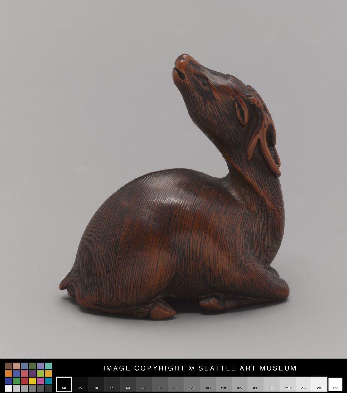 Netsuke modelado como ciervo, mediados del siglo XIX de Japanese School