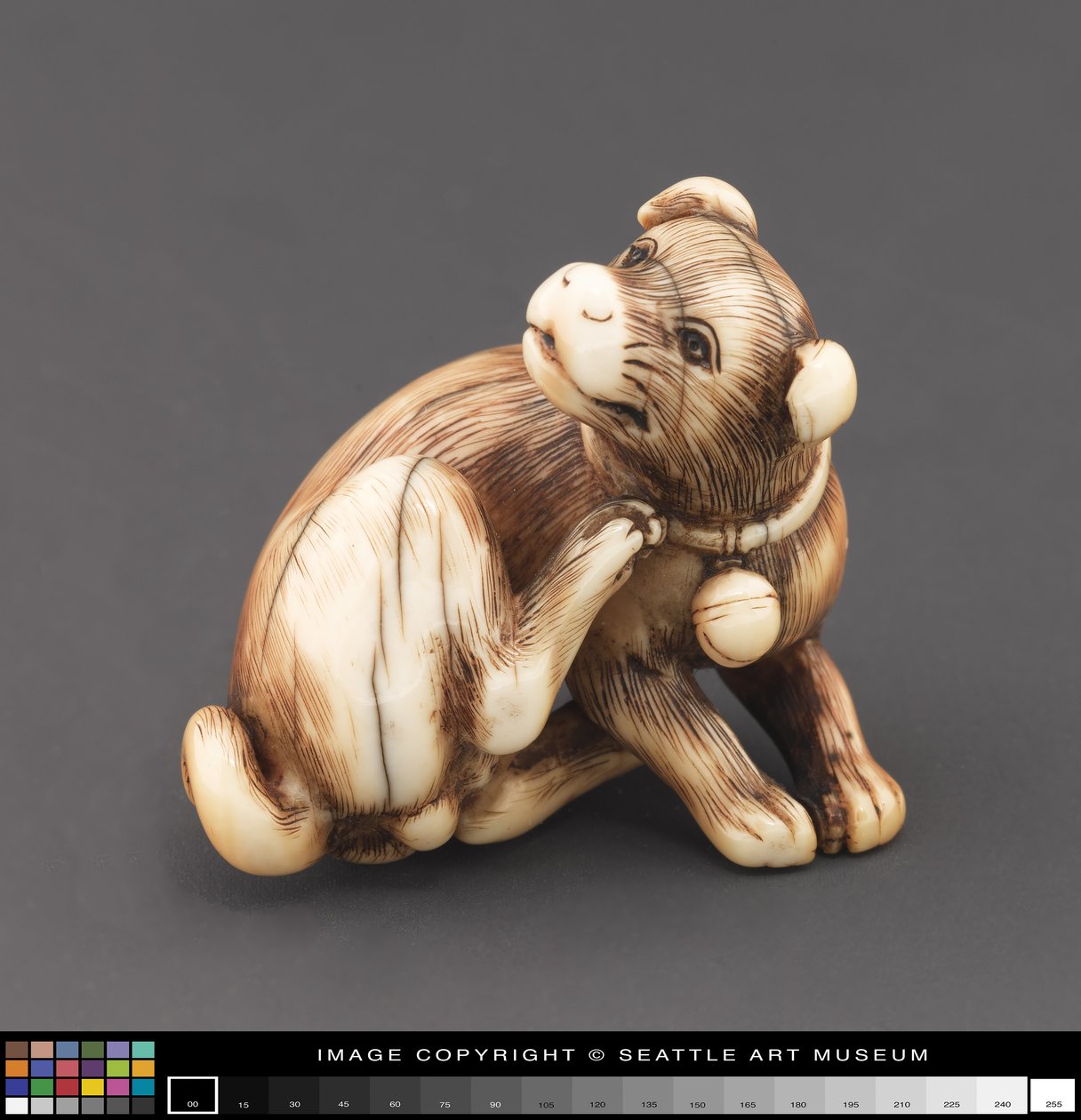 Netsuke modelado como un perro rascándose el cuello de Japanese School