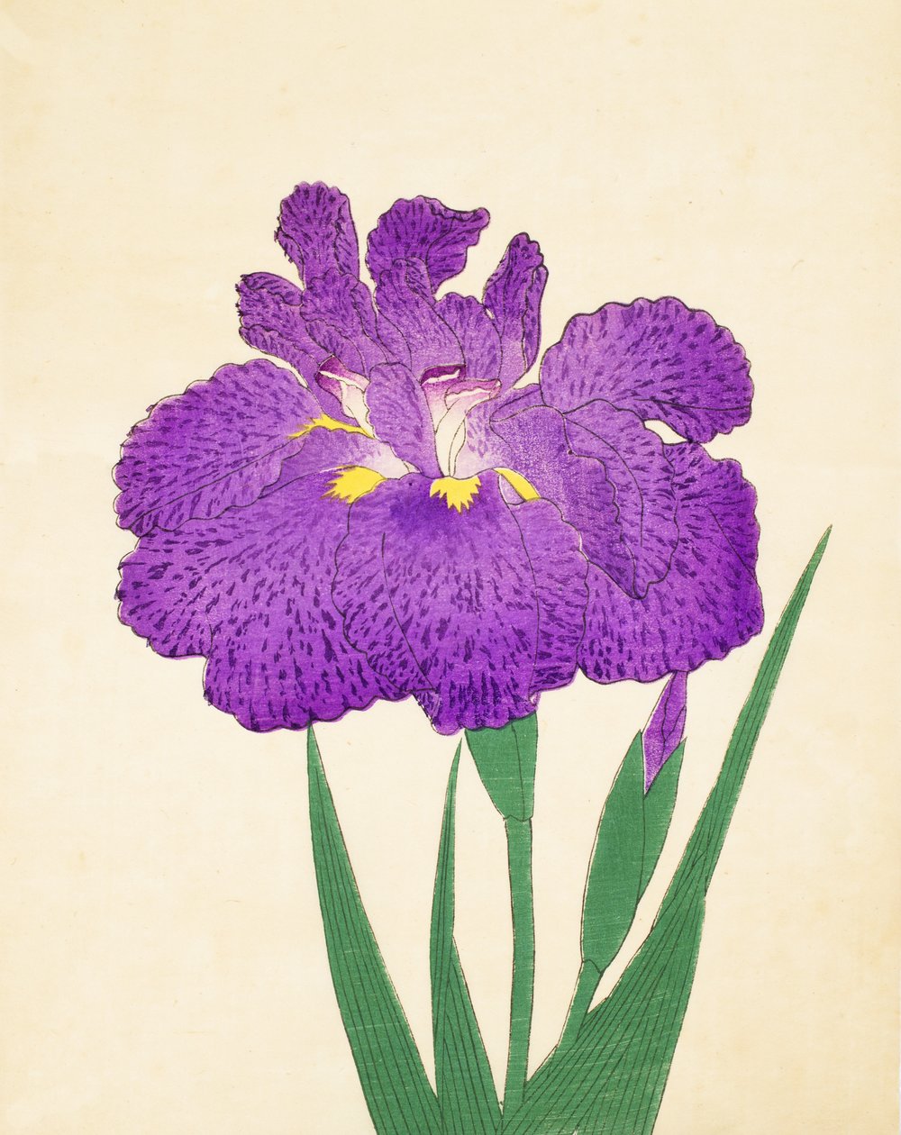 Nyo-Nishiki, no.11, 1898 de Japanese School