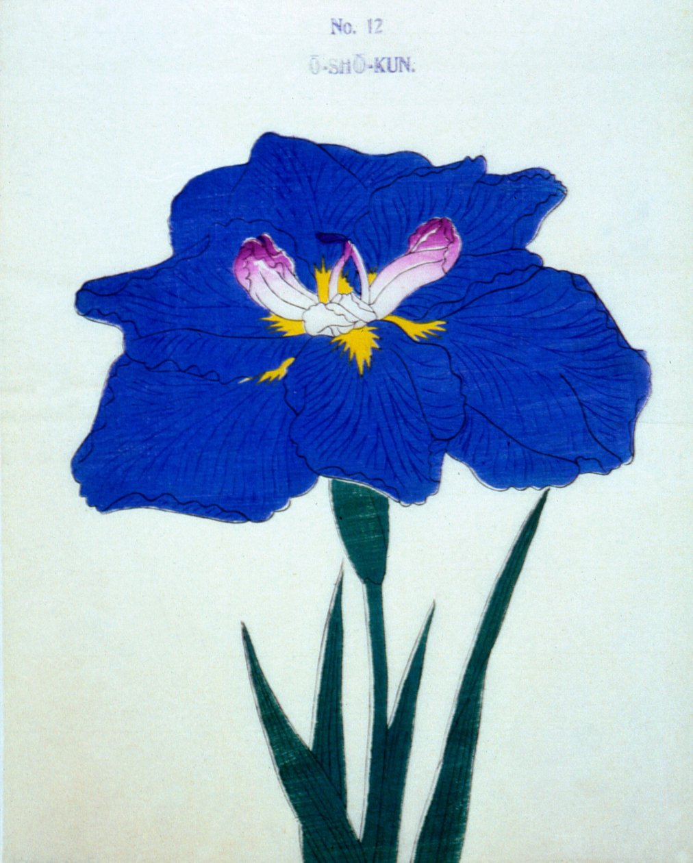 O-Sho-Kun, no.12, 1898 de Japanese School