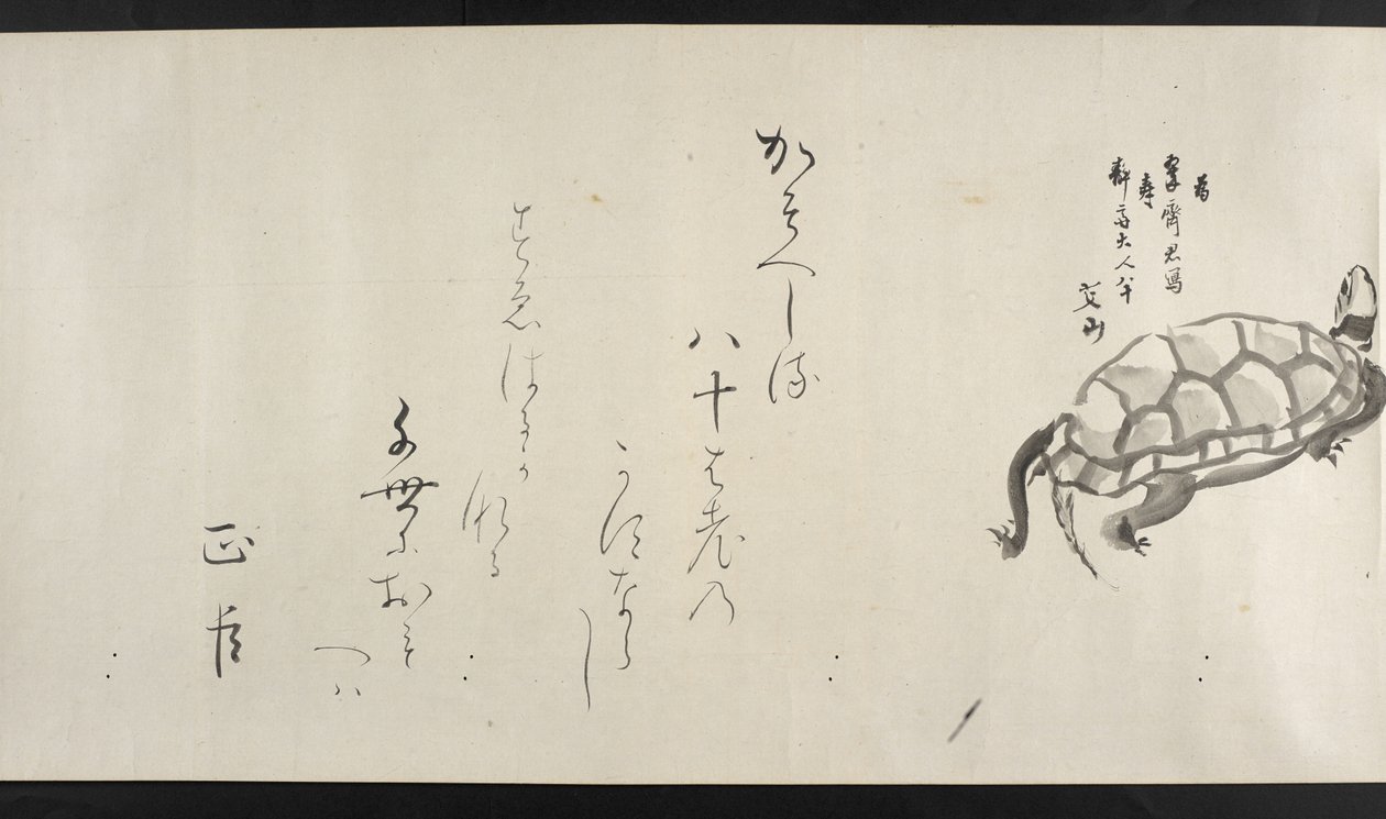 O. 14872, f.29, Una tortuga, de Yoshida Seisai (pergamino) de Japanese School